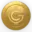 GICT Coin Logo