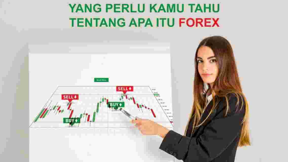 apaitu forex