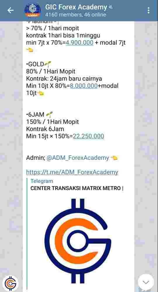 Grup Palsu