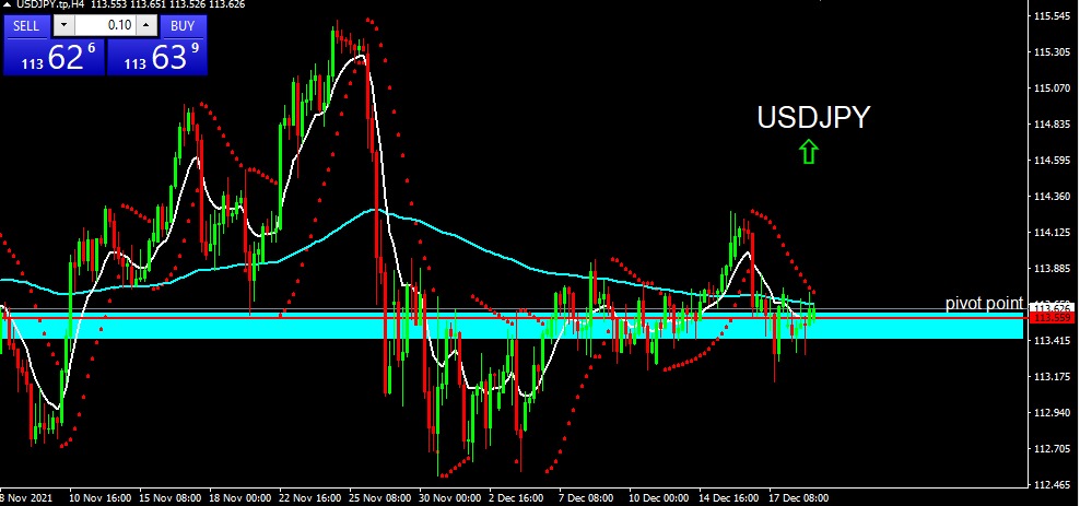 USDJPY 2021-12-21