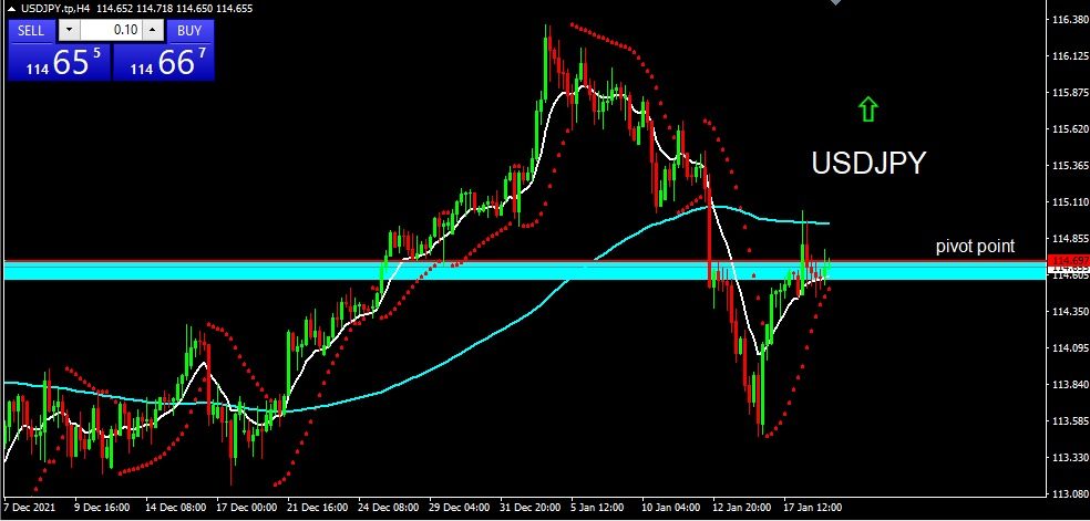 USDJPY 2022-01-19