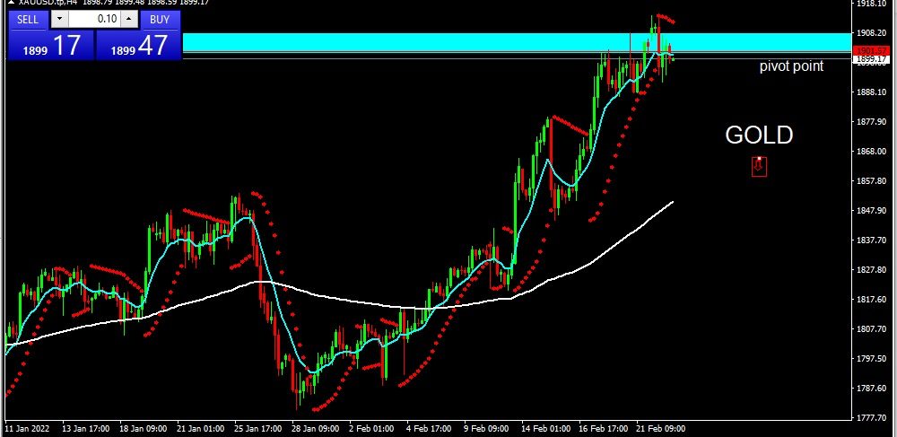 GOLD 2022-02-23 at 11.32.30 AM