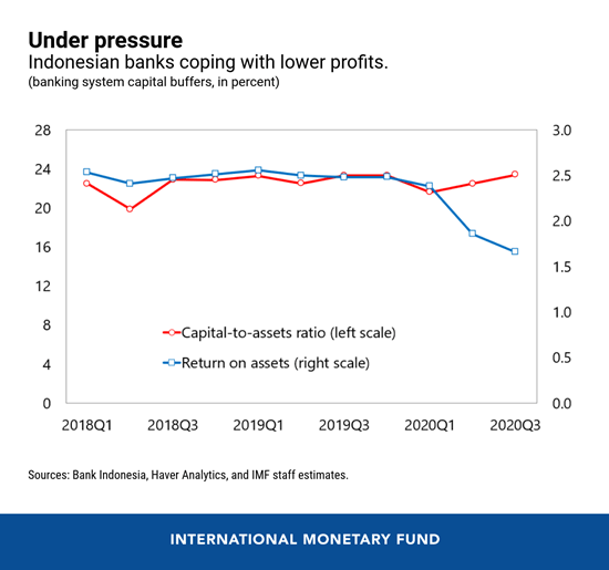 Fungsi dan Peran IMF di Indonesia