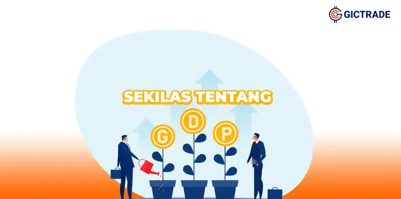 Sekilas Tentang GDP 2