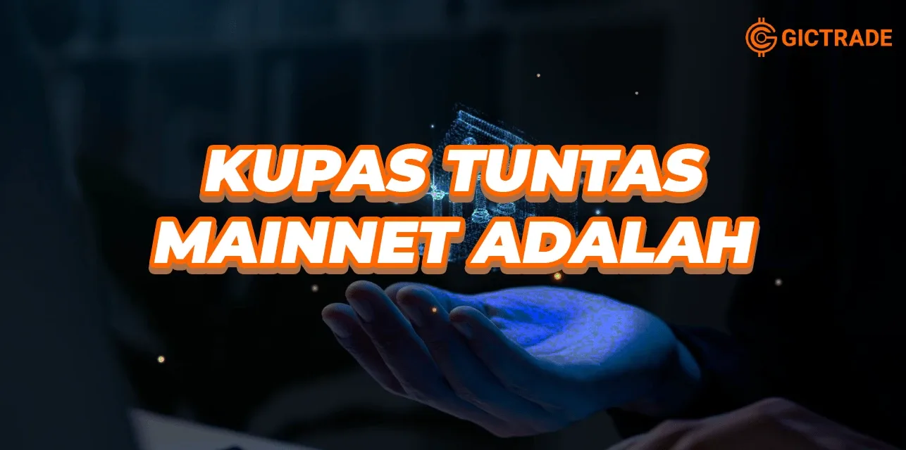 mainnet adalah