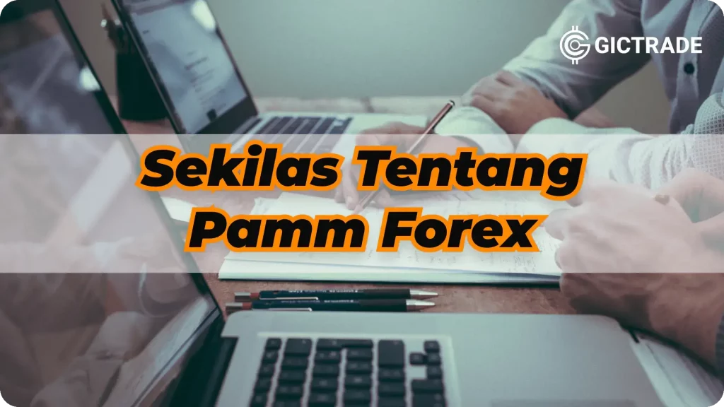 PAMM FOREX