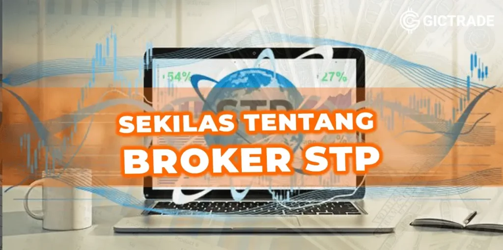 Sekilas Tentang Broker STP