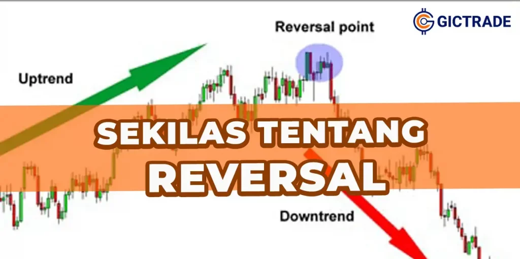 sekilas tentang reversal